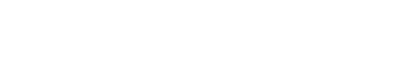 Net Worth